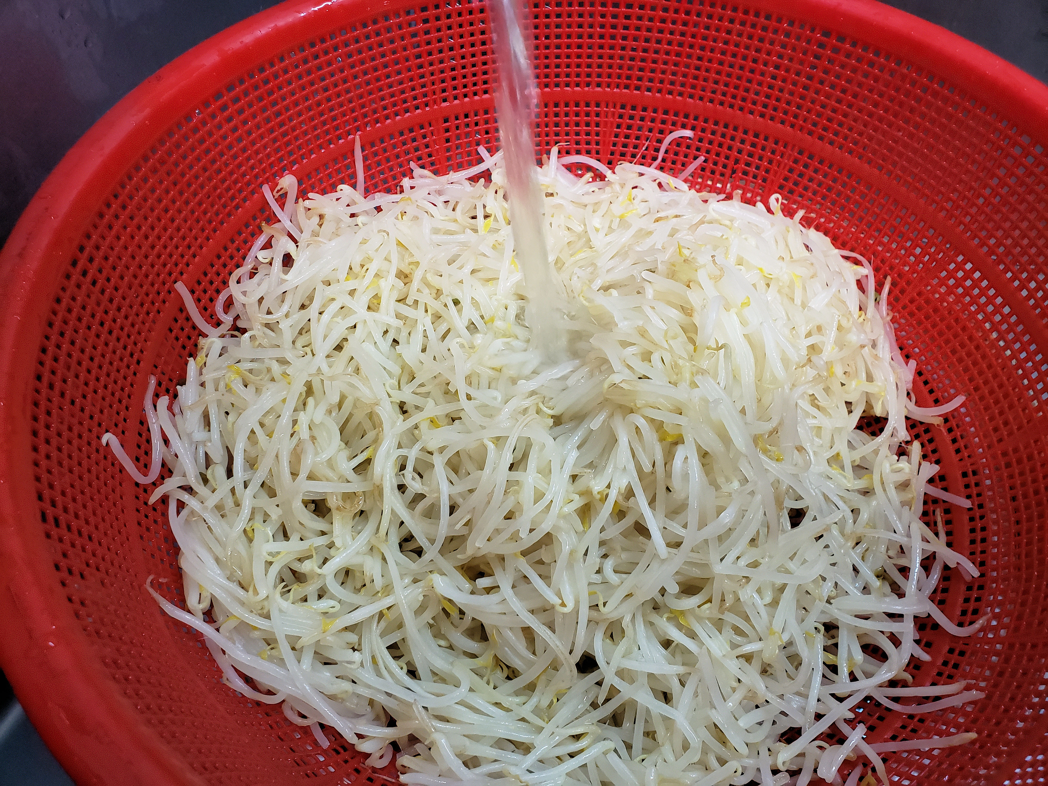 Rinsing beansprouts